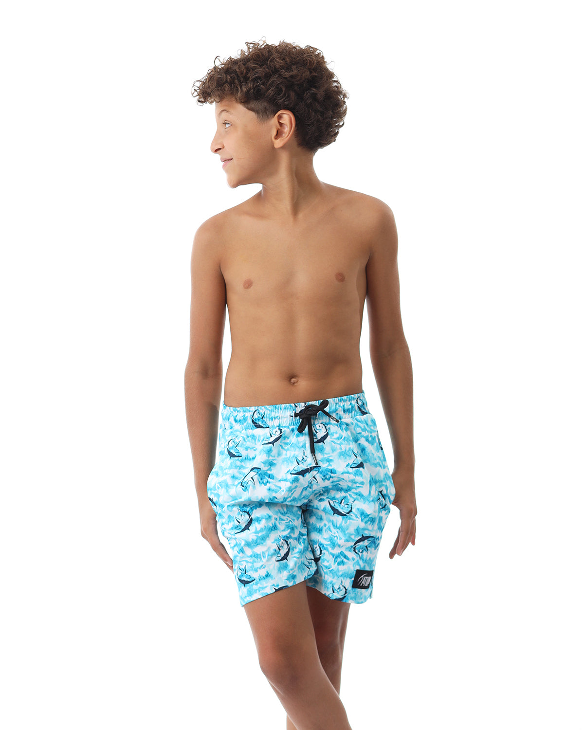 Shark Attack Boy's Aqua Swim Short-Atum -12348694