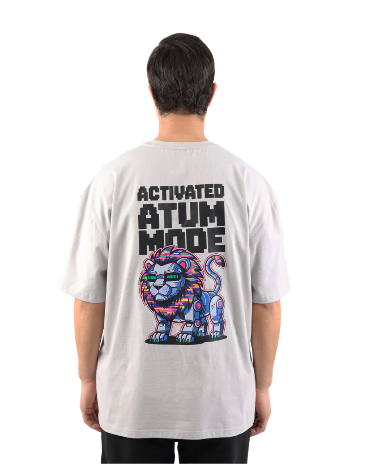 Adventure Mode Light Gray T-Shirt-Atum -26036152