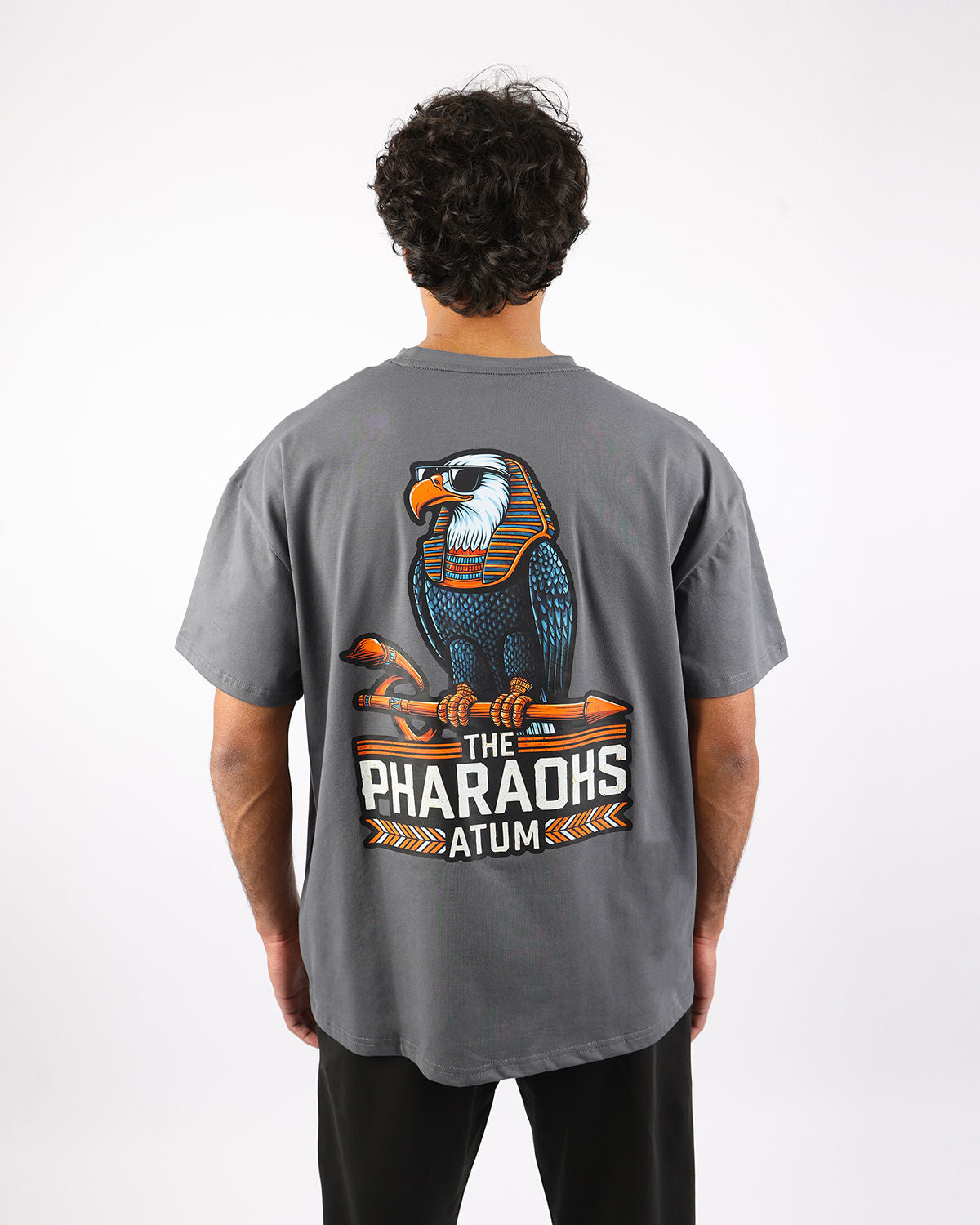 Pharaohs Legacy Men's T-Shirt