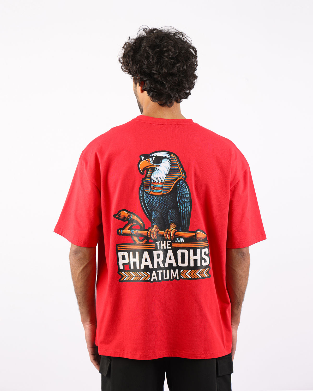 Pharaohs Legacy Men's T-Shirt