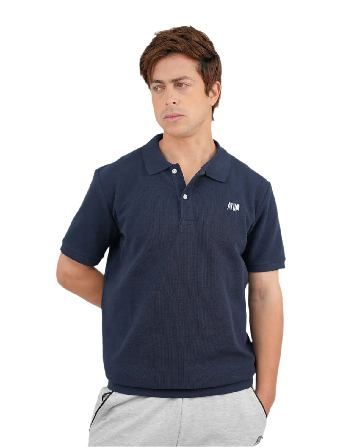 Regular Fit Navy Polo Shirt-Atum -24021249